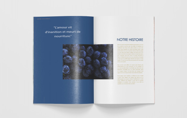 Ne cherchez plus, le luxe est à portée de main. Optez pour notre catalogue premium qui vous représente. Le catalogue premium conçu par COPYTOP pour nos clients d'exception.