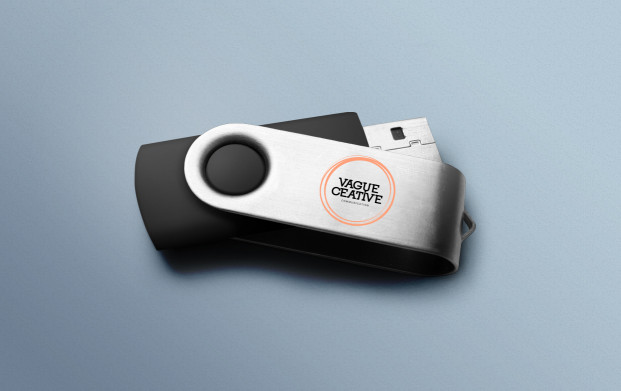 Clé USB avec coque personnalisable, le tout avec un large choix de coloris. Clé USB Twist offrant une compatibilité avec Mac et PC. Offrez un moment de plaisir à vos ordinateurs.