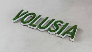 Offrez de la fraicheur à votre marque avec nos lettres et logos 3D végétaux