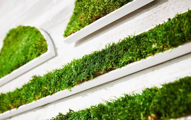 Lettre et logo 3D végétaux pertsonnalisés Végétalisez votre marque avec nos lettres et logos 3D végétaux