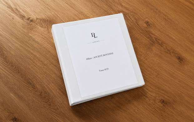 Pour archiver vos documents, le classeur personnalisé est indispensable pour classer vos dossiers de plaidoirie.