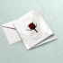 Faire-part de mariage personnalisé avec finitions premium au choix : pelliculage, vernis sélectif, vernis 3D, dorure or ou dorure argent, pour une invitation élégante et raffinée.