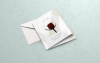 Faire-part de mariage personnalisé avec finitions premium au choix : pelliculage, vernis sélectif, vernis 3D, dorure or ou dorure argent, pour une invitation élégante et raffinée.