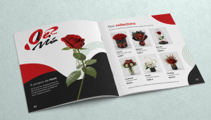 Catalogue express personnalisé imprimé en couleur avec reliure agrafée, idéal pour présenter des produits, services, offres commerciales ou collections dans un support professionnel et facile à consulter.
