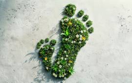Imprimez responsable avec Copytop : des solutions vertes pour une communication d'entreprise durable Silhouette d'un pas humain créée par une plantation de jeunes plantes, représentant l'impact écologique positif des services d'impression de Copytop