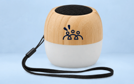 enceinte premium bluetooth
